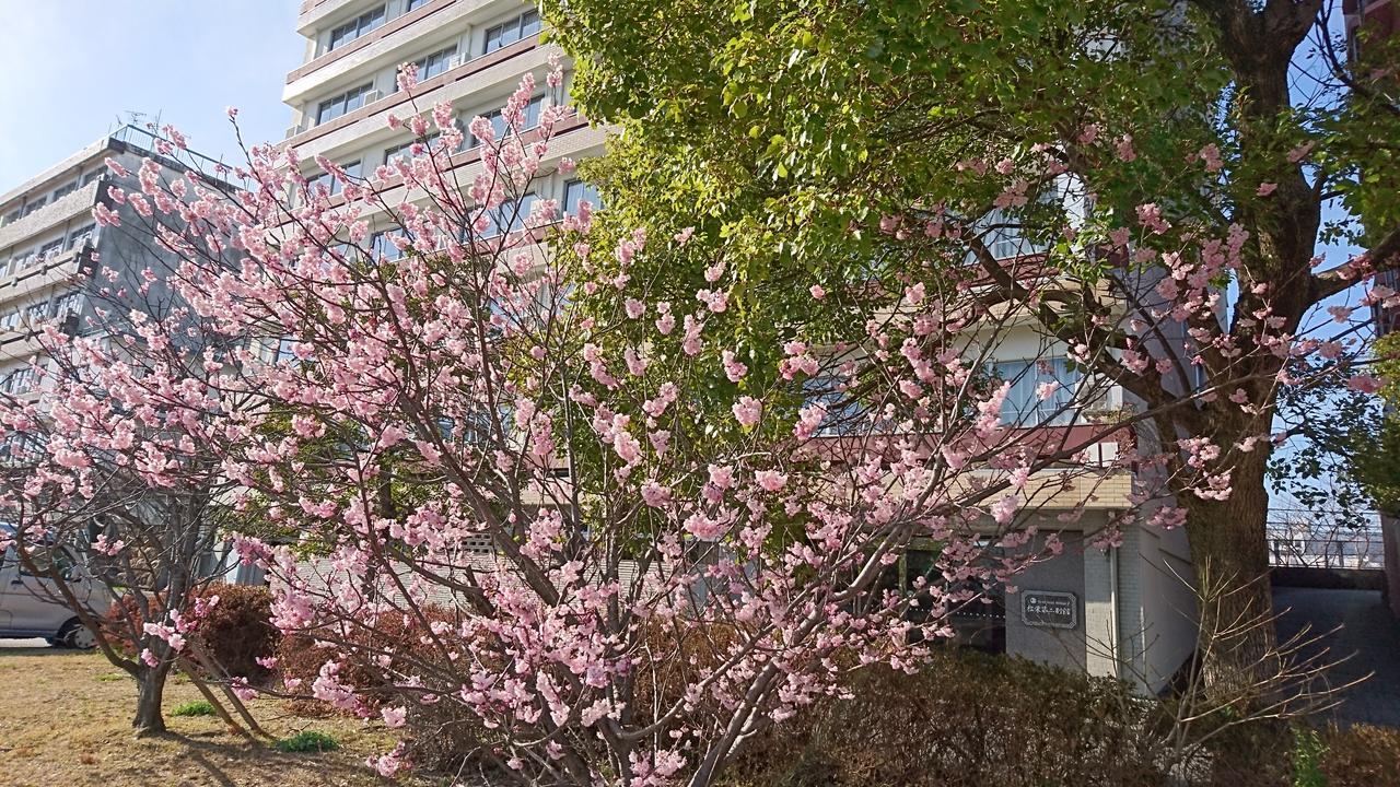 Shoei Daini Bekkan Kochi  Exterior photo